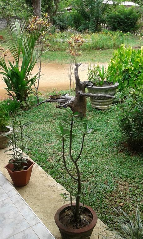 Sigiri Leisure Holiday Home Sigiriya Exterior foto